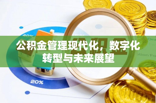 洛川公积金管理现代化，数字化转型与未来展望