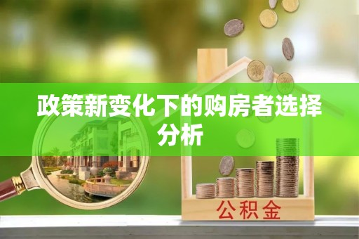 洛川政策新变化下的购房者选择分析